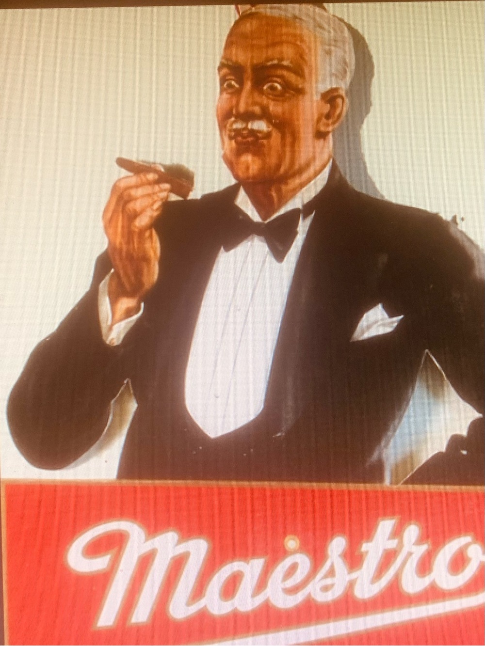 Maestro cigar  cartone